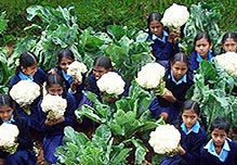 Children with cauliflowers