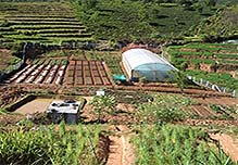 Restoration of the land and soil through teaching farmers bio–dynamic principles such as crop rotation.