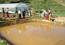 Natural spring at Kollimalai enabled 10ft deep pond allowing pumping of water to high levels of nursery Spring water collection pond